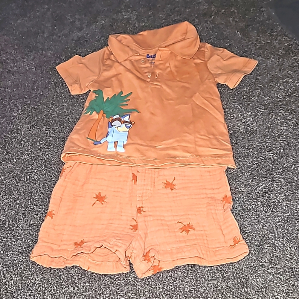12 month 2 peice short sleeved and shorts outfit.